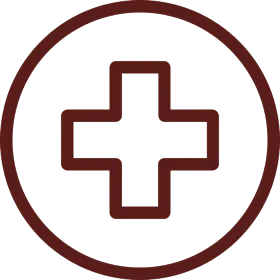 healthcare-icon